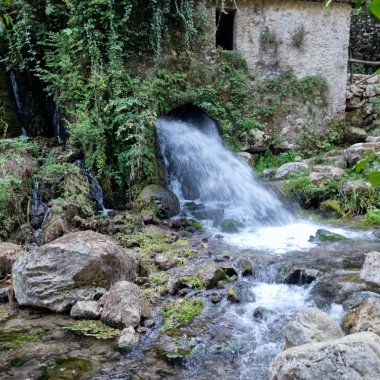 Oasis de WWF