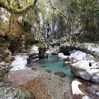 Oasis de WWF