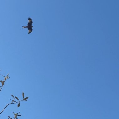 Oasi Affiliata WWF Gole Del Cervati